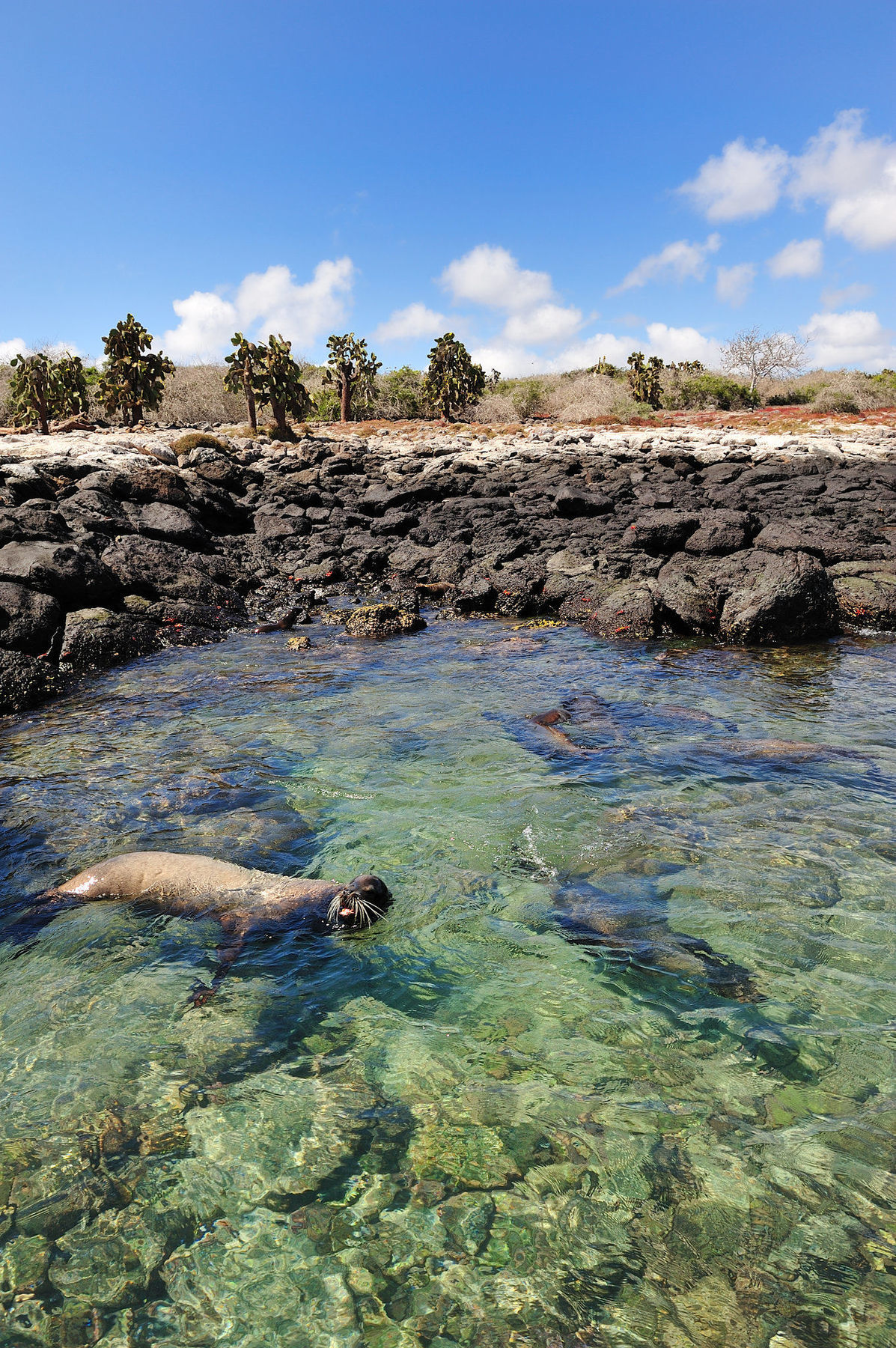 Pikaia Lodge Santa Cruz Island Εξωτερικό φωτογραφία